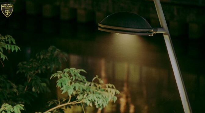 Why a Private Security Guard Is Essential for Business and Community Safety